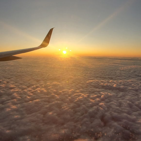 Meet your Posher, Elvy - Picture 1 of 1